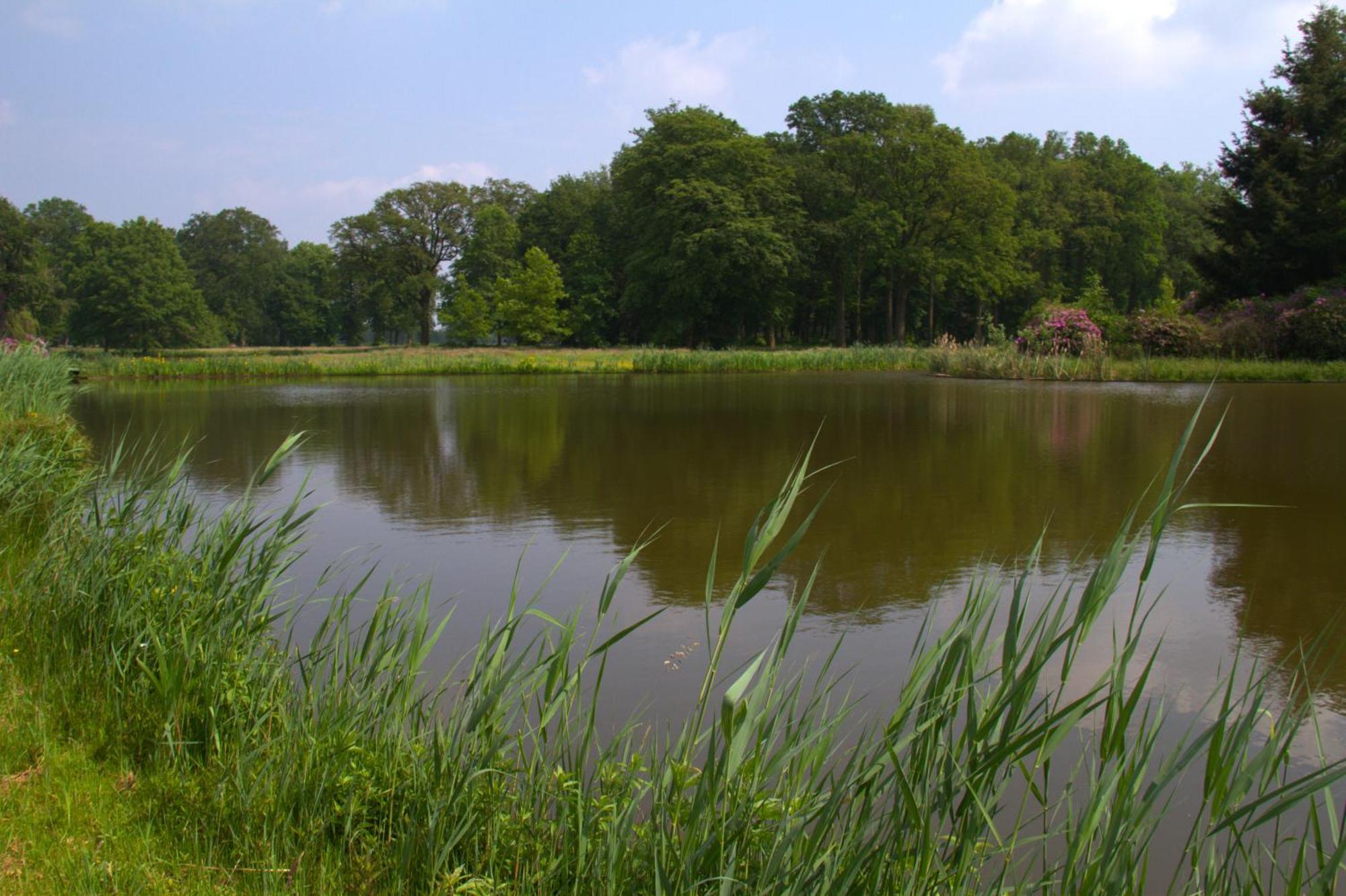 B&B Kasteel Den Tip Arendonk Dış mekan fotoğraf