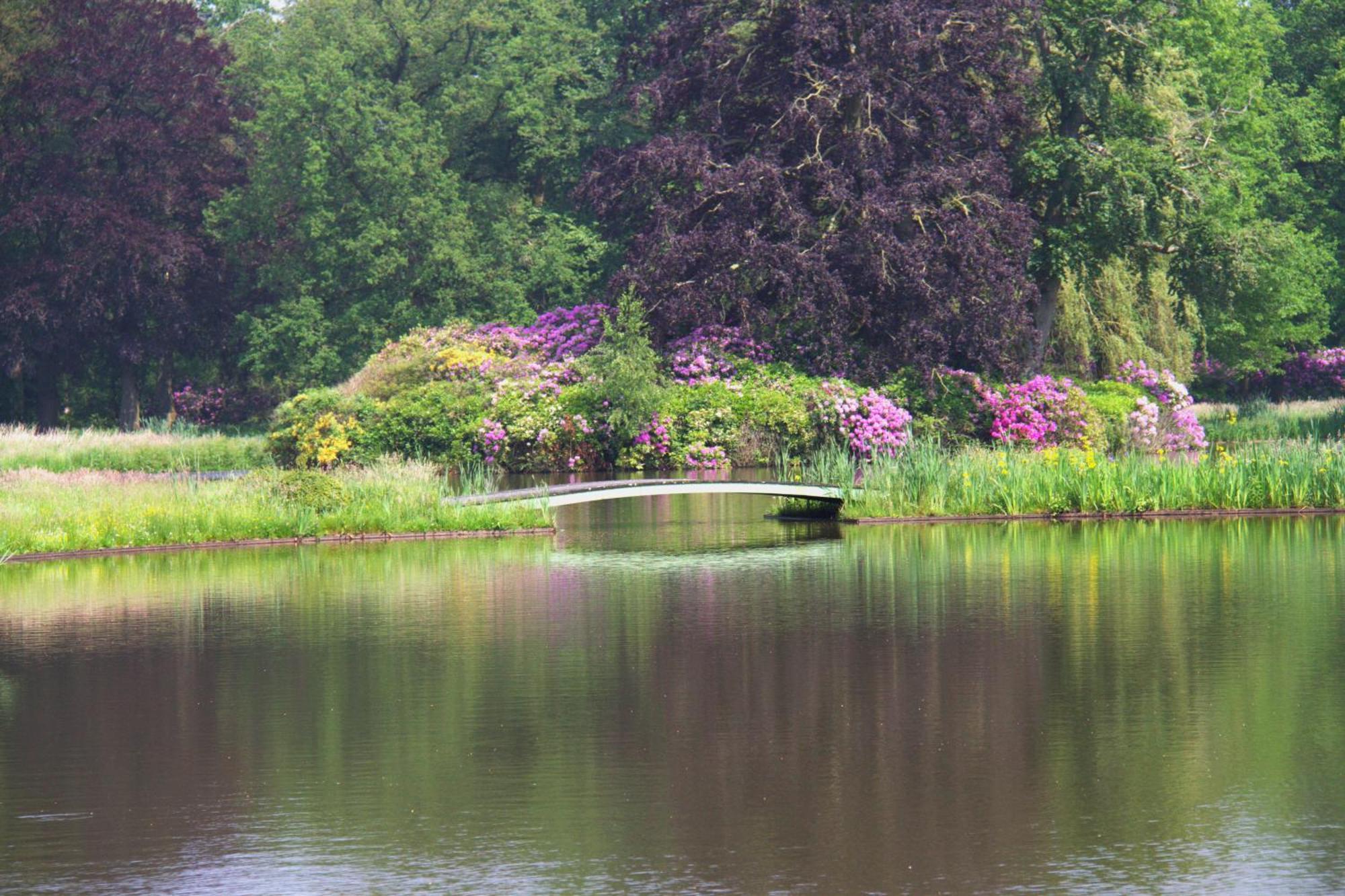B&B Kasteel Den Tip Arendonk Dış mekan fotoğraf