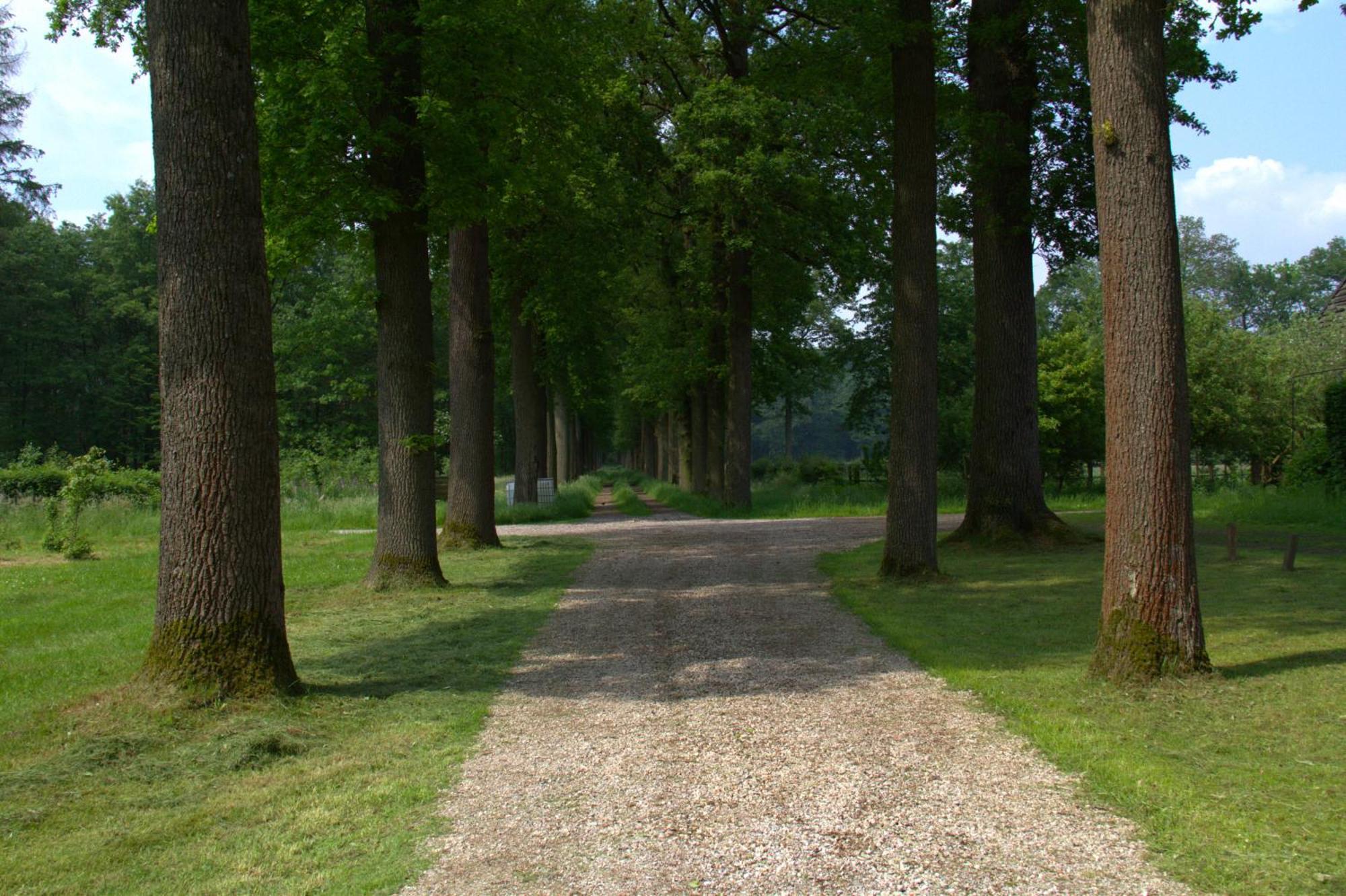 B&B Kasteel Den Tip Arendonk Dış mekan fotoğraf